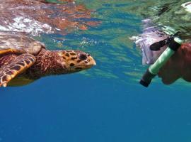Turtle Hive Maldives - velaavani, hotel v destinaci Dhiffushi