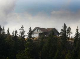 Falkeblikk-Mountain cabin with majestic views – hotel w mieście Bø