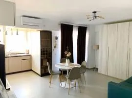 Oltenia Studio Decebal Residence Craiova