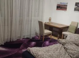 Big room for 2 pers, 9 min to trade fare, FREE parking