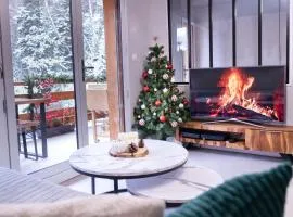 Studio cabine Au Loup Blanc avec vue Mont Blanc