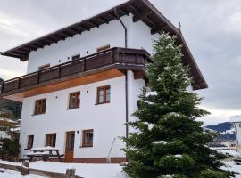 Nicky apartments and studios, hotel in Niederau