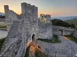 Hotel Castle Center