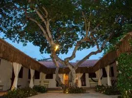 Vila Lua Aparts - Apartamento 5 - melhor custo beneficio de Jeri