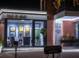 Hotel Casa David、クラヨーヴァのホテル