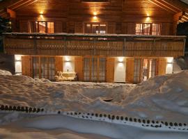 Chalet Davos, hotel in Davos