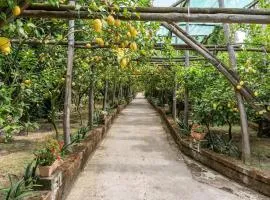 Romantic Garden