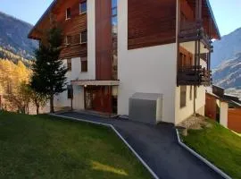 Schwarzhorn 3