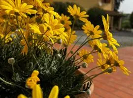 Agriturismo LA CERBANA