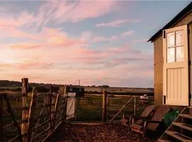 The Lookerer by Bloom Stays