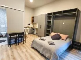 Reykjavík City Studio