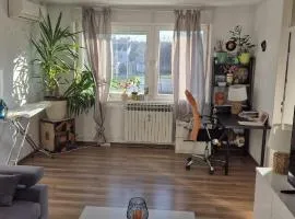 Apartment Jarun Comfort