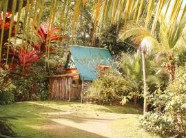 Rustic Cabin in Pavones surf brake