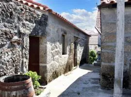 Spacious Family House in Nogueira with Garden