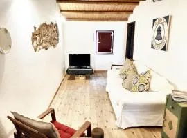 Charming House in Beirã with Garden