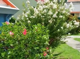 Maison cosy Les Anses d'Arlet + Jardin