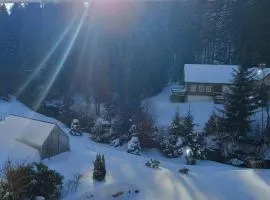 Apartmán Ina,Josefův Důl 356