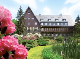 Romantik Hotel Jagdhaus Waldidyll, cheap hotel in Hartenstein