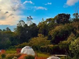 Boreal Refugio Natural