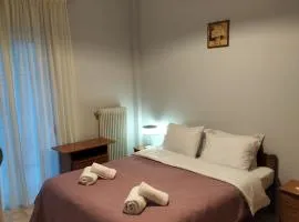 Άνετο διαμέρισμα στο κέντρο της πόλης