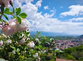 Trebiano a casa dei nonni