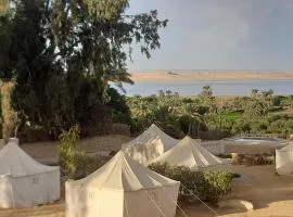 Tunis Camp Fayoum