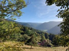 Appartement rez-de-chaussée dans vielle ferme au coeur des Vosges, hotelli kohteessa Plainfaing