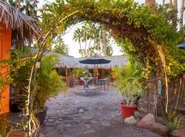Iguana Inn