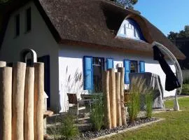 Wave Rider Comfortable holiday residence