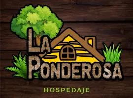 La pondoresa de Ña chocha