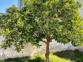The Orange Tree, ξενοδοχείο σε Ταντίλ