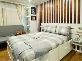 Luxury 1Bed studio apartment on Aukuna st Canberra