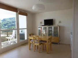 Appartement 6 pers, Wi-Fi, proche pistes ski, garage privé, vue lac et montagnes - FR-1-814-24