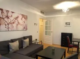 Vivienda de 1 habitación , Menina , Alcobendas