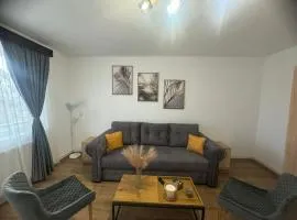 The Future Residence