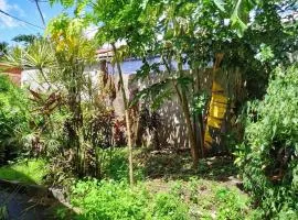 Maison 2 Chambres à Le Carbet – 60 m² avec Terrasse
