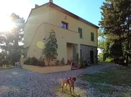 Seme di Luna