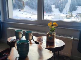 Apartman Snjezna pahuljica - FREE GARAGE, hotell i Bjelašnica