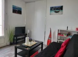 Le nid de Basch apartment near Paris