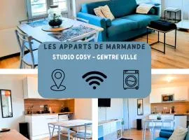 Les Apparts de Marmande - Appart Cosy, centre de Marmande