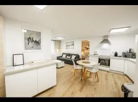 Appartement rénové place du Palais avec parking