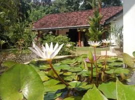 Minu Homestay & Villa