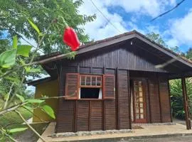 Cabana Family - Na Mata Atlântica