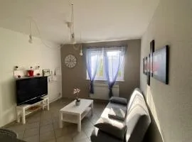 T1 Sympathique logement a Thann