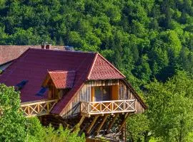 Farm Stay Pirc - Hayloft Apartment