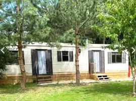 Redwood Cabin 1