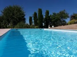 Le cocon vert