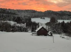 Domek na Górce