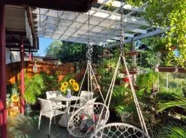 Sun and Shade Apartment