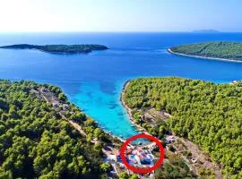 Seaside family friendly house with a swimming pool Cove Slatina, Korcula - 23711